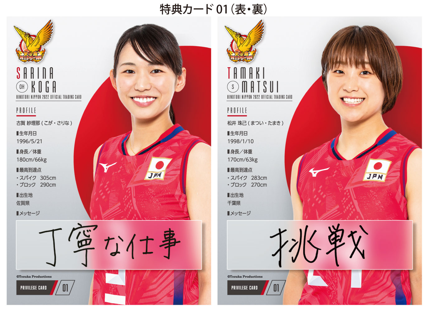 ◇送料無料◇「火の鳥NIPPON 2022」バレーボール全日本女子 公式