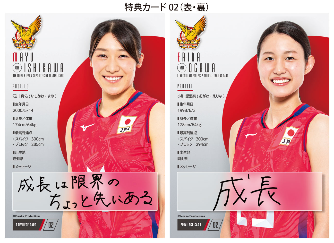 ◇送料無料◇「火の鳥NIPPON 2022」バレーボール全日本女子 公式 