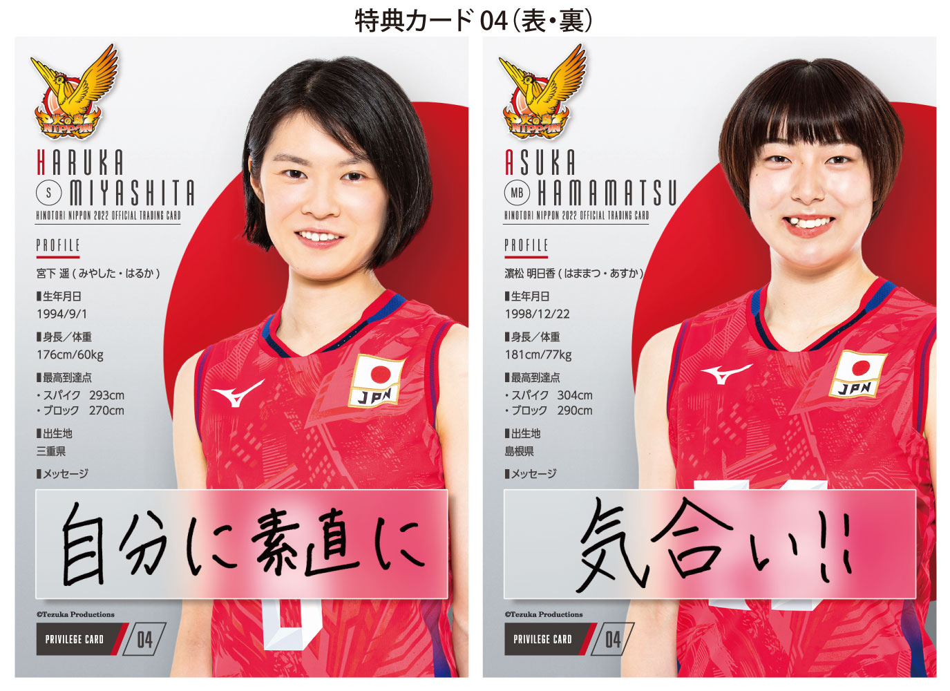 送料無料 「火の鳥NIPPON 2022」バレーボール全日本女子