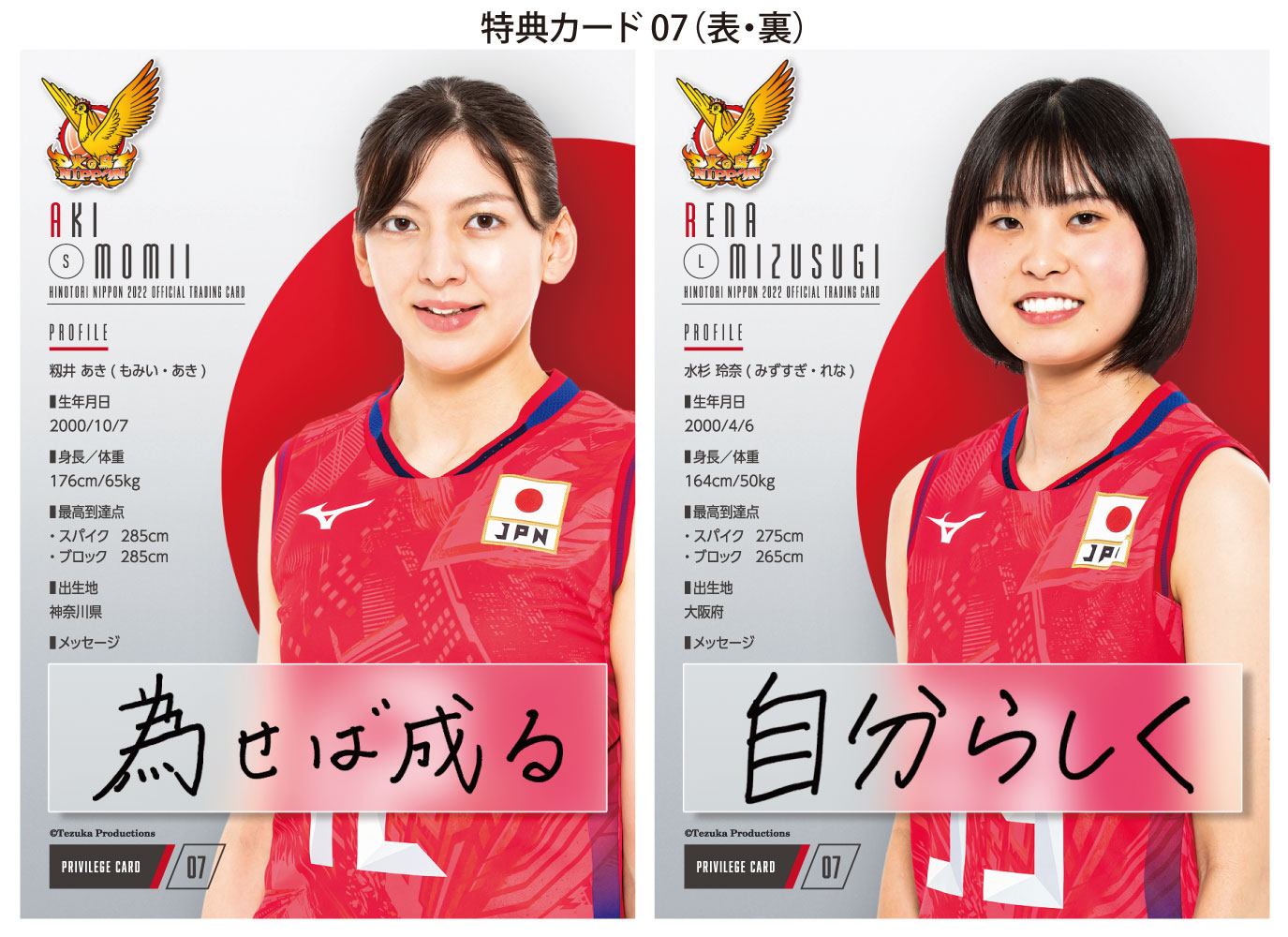 送料無料 「火の鳥NIPPON 2022」バレーボール全日本女子 公式 
