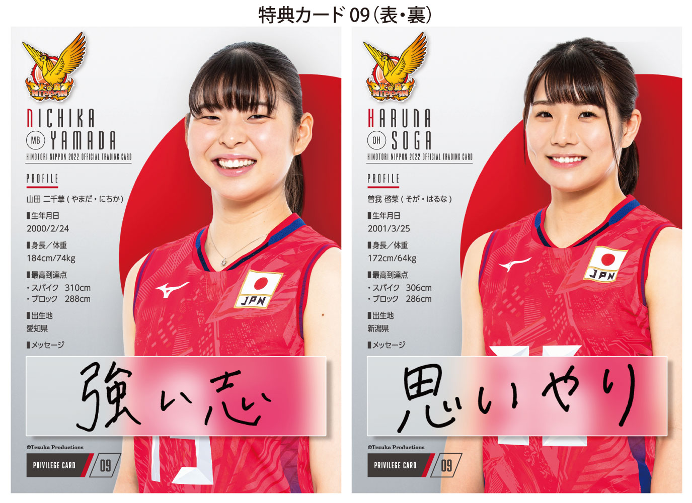 ◇送料無料◇「火の鳥NIPPON 2022」バレーボール全日本女子 公式
