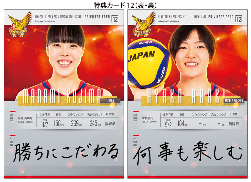 ◇送料無料◇「火の鳥NIPPON 2023」バレーボール全日本女子 公式
